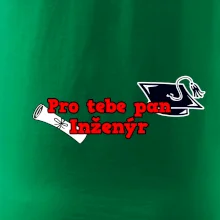 Pro tebe pan Inženýr