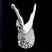 Krokodýl kreslený (Pecka design)