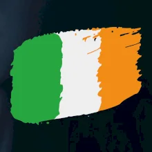 Irská vlajka