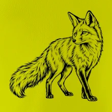 Zvířata Krkonoš – liška obecná