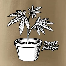 Konopi prostě pěstuju