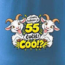 Těmhle holkám je 55, čučíš co?