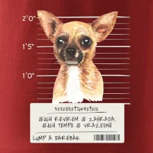 Lump a darebák čivava