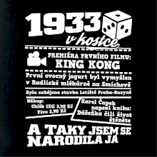1933 v kostce