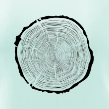 Letokruhy 70 bez věku