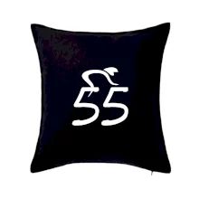 Cyklista slaví pětapadesátku (55)