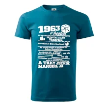 1963 v kostce