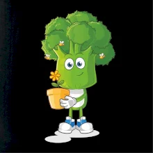 Brokolice zahrádkář