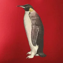 Tučňák kreslený vodovými barvami