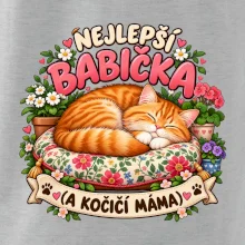 Nejlepší babička a kočičí máma spící zrzavý kocour