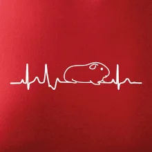 EKG morče EKG morče