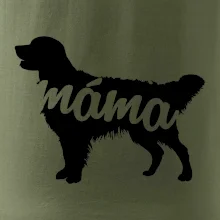 Zlatý retrívr máma obrys