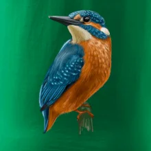 Lednáček kreslený