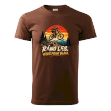 Ráno les večer praní bláta na kole
