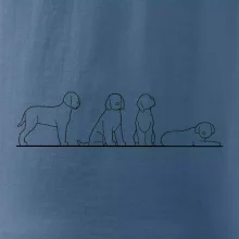 Lagotto romagnolo postavy linka