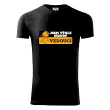 Jsem týhle stavby vedoucí