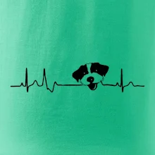 Jack Russell Terriér hrubosrstý Ekg