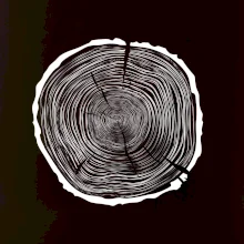 Letokruhy 80 bez věku