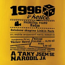 1996 v kostce