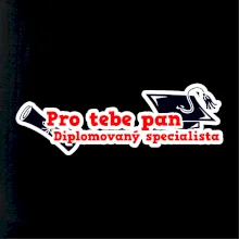Pro tebe pan Diplomovaný specialista