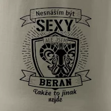 Nesnáším být tak skvělý - Beran