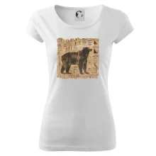 Egyptské hieroglyfy medvěd