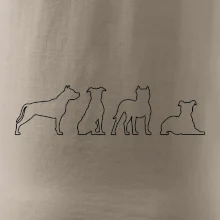 Americký stafordširský teriér v různých pozicích