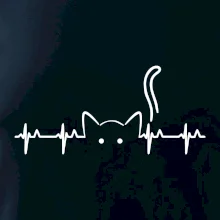 Kočka EKG Kočka EKG