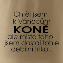 Chtěl jsem dostat k Vánocům koně