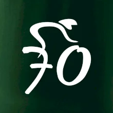 Cyklista slaví sedmdesátku (70)