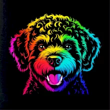 Lagotto romagnolo duhová hlava