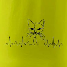 EKG křivka kočka