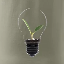 Žárovka květináč