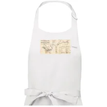 Mapa Báňské dráhy z Moravské Ostravy do Doubravy