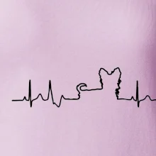 Jorkšírský teriér EKG