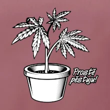 Konopi prostě pěstuju