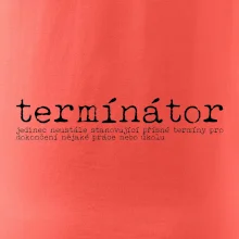 Čeština 2.0 - termínátor