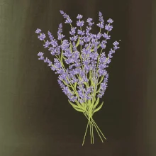 Levandule kreslená