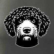 Lagotto romagnolo hlava na prsu