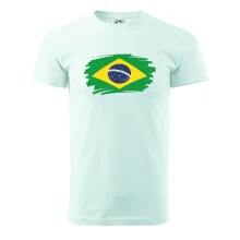 Brazílie vlajka štětkou