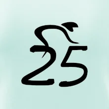 Cyklista slaví pětadvacítku (25)