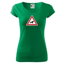 Dopravní značka - Pozor lev