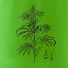 Konopí kytka černobílá