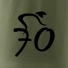 Cyklista slaví sedmdesátku (70)
