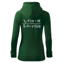 Teorie všeho (Theory of Everything)