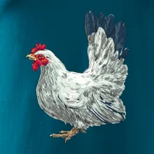 Slepice kreslená bílá