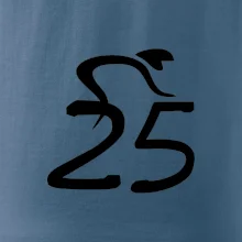 Cyklista slaví pětadvacítku (25)