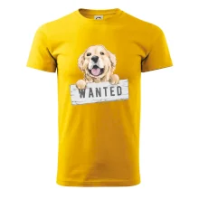 Zlatý retriever - štěně wanted