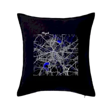 Plzeň mapa s vodními toky