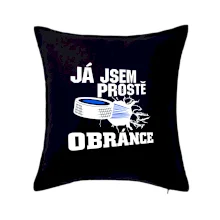 Já jsem prostě obránce (hokej)